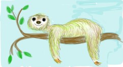 Sloth-Fingerpainted